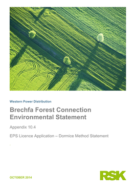 Brechfa Forest Connection Environmental Statement