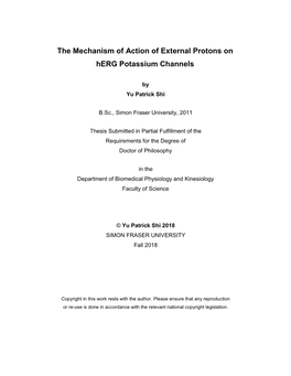 The Mechanism of Action of External Protons on Herg Potassium Channels