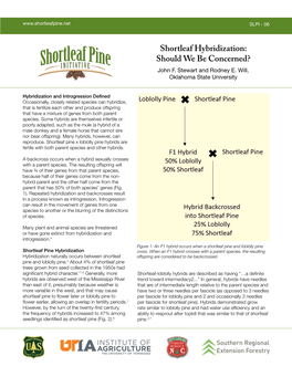 Shortleaf Hybridization: Should We Be Concerned? John F