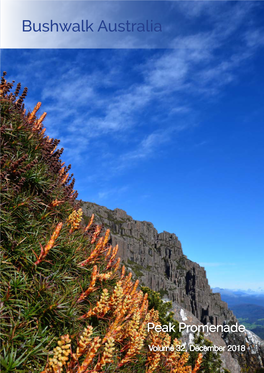 Bushwalk Australia