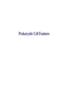 Prokaryotic Cell Features