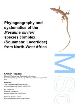 Phylogeography and Systematics of the Mesalina Olivieri Species Complex (Squamata: Lacertidae) from North-West Africa