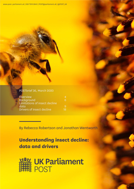 Understanding Insect Decline: Data and Drivers