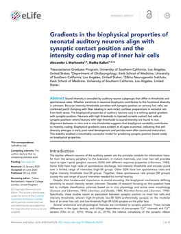 Gradients in the Biophysical Properties of Neonatal Auditory Neurons Align