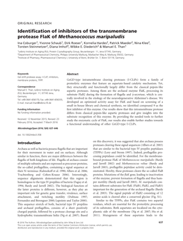 Identification of Inhibitors of the Transmembrane Protease Flak Of