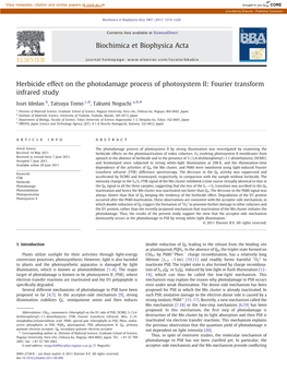 Herbicide Effect on the Photodamage Process of Photosystem II: Fourier Transform Infrared Study