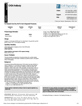 CHD4 Antibody A