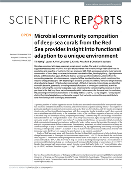 Microbial Community Composition of Deep-Sea Corals from the Red Sea