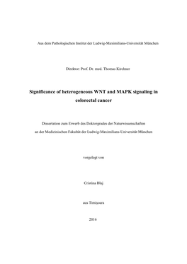 Significance of Heterogeneous WNT and MAPK Signaling in Colorectal Cancer