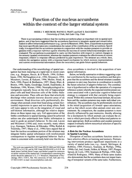 Function of the Nucleus Accumbens Within the Context of the Larger Striatal System