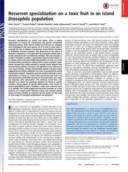 Recurrent Specialization on a Toxic Fruit in an Island Drosophila