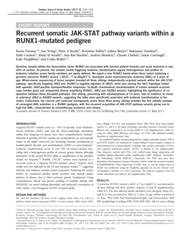 Recurrent Somatic JAK-STAT Pathway Variants Within a RUNX1-Mutated Pedigree