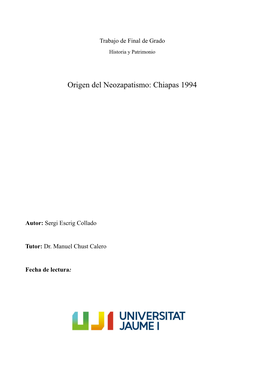 Origen Del Neozapatismo: Chiapas 1994