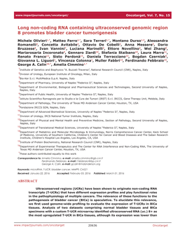 Long Non-Coding RNA Containing Ultraconserved Genomic Region 8 Promotes Bladder Cancer Tumorigenesis