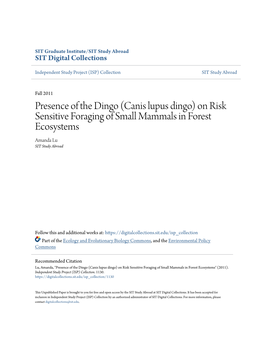 (Canis Lupus Dingo) on Risk Sensitive Foraging of Small Mammals in Forest Ecosystems Amanda Lu SIT Study Abroad