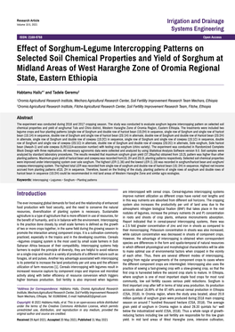 Effect of Sorghum-Legume Intercropping Patterns on Selected