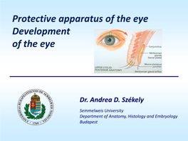 Protective Apparatus of the Eye Development of the Eye