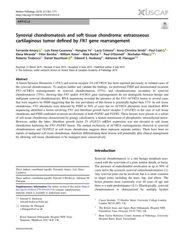 Synovial Chondromatosis and Soft Tissue Chondroma: Extraosseous Cartilaginous Tumor Deﬁned by FN1 Gene Rearrangement