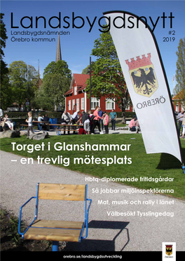 Torget I Glanshammar – En Trevlig Mötesplats