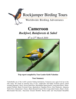 Cameroon Rockfowl, Rainforests & Sahel