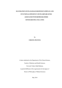 Elucidation of Dna Damage Response Pathways And