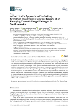 A One Health Approach to Combatting Sporothrix Brasiliensis: Narrative Review of an Emerging Zoonotic Fungal Pathogen in South America