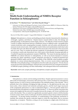 Multi-Scale Understanding of NMDA Receptor Function in Schizophrenia