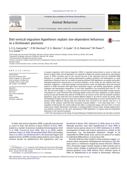 Diel Vertical Migration Hypotheses Explain Size-Dependent Behaviour in a Freshwater Piscivore