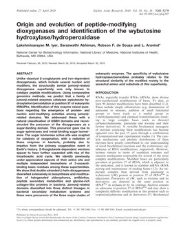 Origin and Evolution of Peptide-Modifying Dioxygenases and Identification of the Wybutosine Hydroxylase/Hydroperoxidase Lakshminarayan M