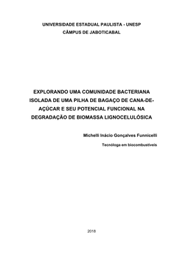 Explorando Uma Comunidade Bacteriana Isolada De Uma Pilha De Bagaço De Cana-De- Açúcar E Seu Potencial Funcional Na Degradação De Biomassa Lignocelulósica