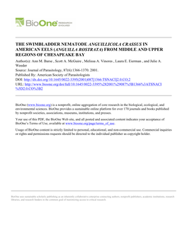 THE SWIMBLADDER NEMATODE ANGUILLICOLA CRASSUS in AMERICAN EELS (ANGUILLA ROSTRATA) from MIDDLE and UPPER REGIONS of CHESAPEAKE BAY Author(S): Ann M