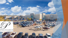 Palisades Center's Role in Rockland