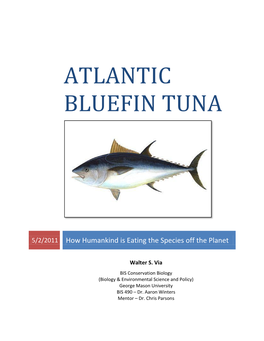 Atlantic Bluefin Tuna