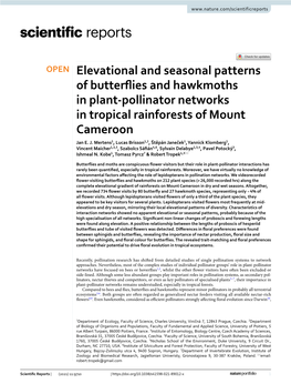 Elevational and Seasonal Patterns of Butterflies and Hawkmoths in Plant