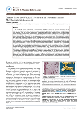 Current Status and Unusual Mechanism of Multi-Resistance In