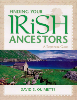 Finding Your Irish Ancestors: a Beginner's Guide