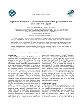 A Description of Claspers of the Spadenose Shark and Milk Shark from Gujarat