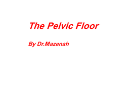 The Pelvic Floor