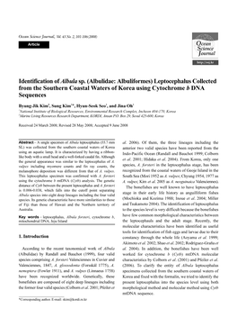 Identification of Albula Sp.(Albulidae: Albuliformes) Leptocephalus