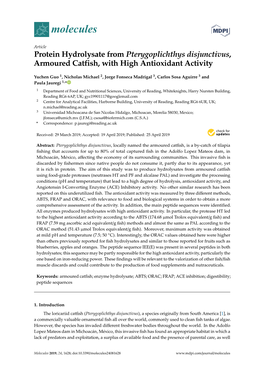 Protein Hydrolysate from Pterygoplichthys Disjunctivus, Armoured Catfish, with High Antioxidant Activity