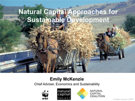 Natural Capital Approaches for Sustainable Development