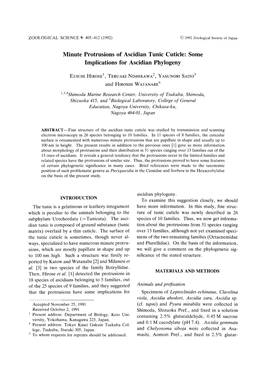 Minute Protrusions of Ascidian Tunic Cuticle: Some Implications for Ascidian Phylogeny