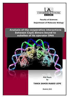Analysis of the Cooperative Interactions Between Copg Dimers Bound to Subsites of Its Operator DNA
