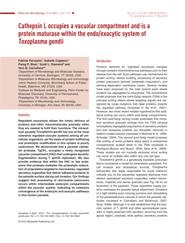 Cathepsin L Occupies a Vacuolar Compartment and Is a Protein Maturase Within the Endo/Exocytic System Of