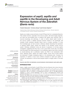 Expression of Sept3, Sept5a and Sept5b in the Developing and Adult Nervous System of the Zebrafish (Danio Rerio)