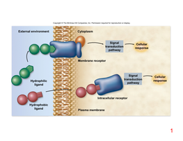 Cytoplasm External Environment Membrane Receptor Intracellular Receptor Plasma Membrane Signal Transduction Pathway Signal Trans