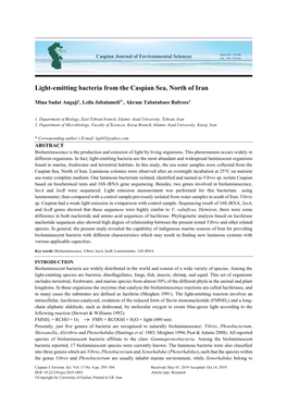 Light-Emitting Bacteria from the Caspian Sea, North of Iran