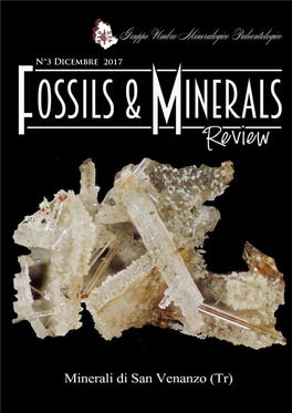 N°3 Dicembre 2017 Fossils & Minerals Indice