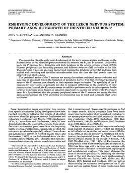 Embryonic Development of the Leech Nervous System: Primary Axon Outgrowth of Identified Neurons’