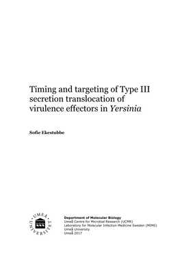 Timing and Targeting of Type III Secretion Translocation of Virulence Effectors in Yersinia
